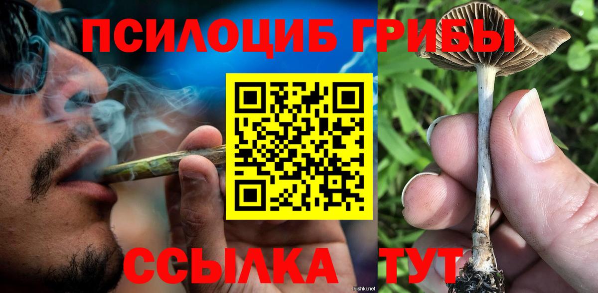 Галлюциногенные грибы мицелий  Вход с VPN  Менделеевск  Галлюциногенные грибы Psilocybine cubensis 